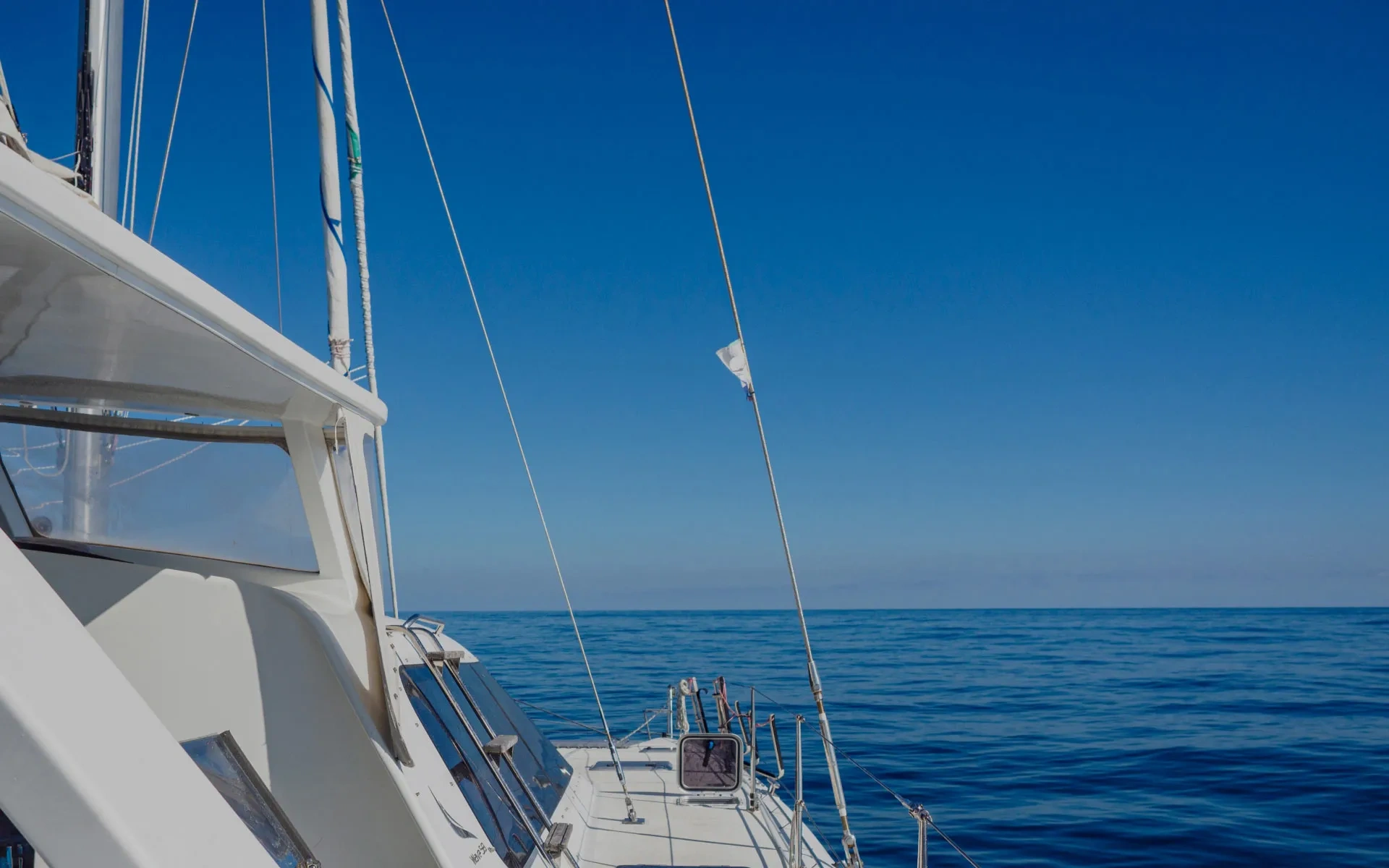 Catamaran Cruises