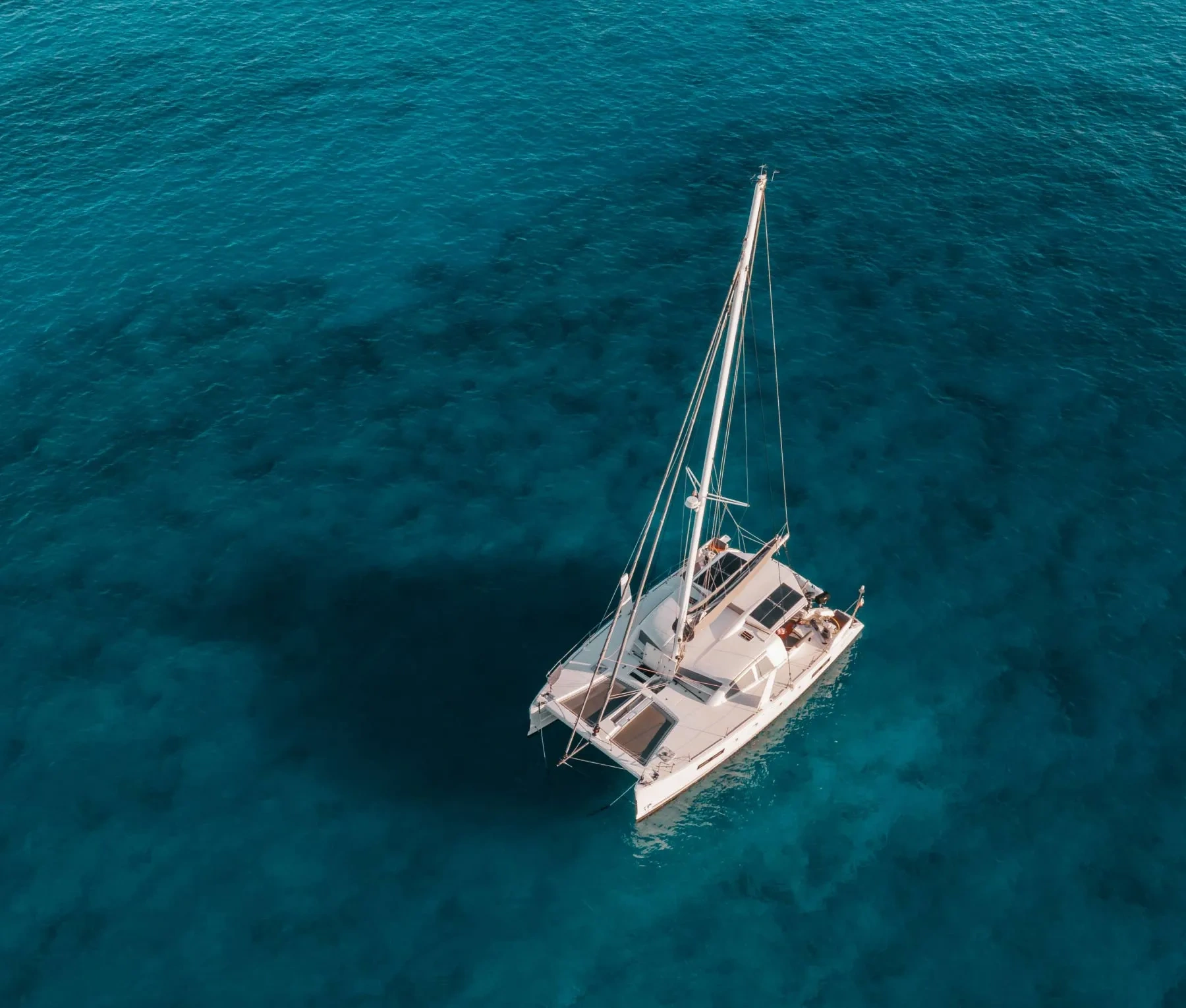 Catamaran Cruises